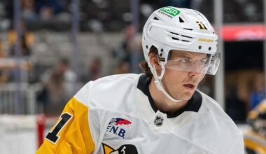 Metropolitan Notes: Hallander, Wheeler, Strome – Pro Hockey Rumors