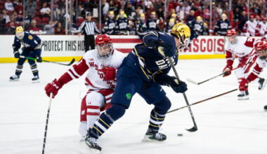 Former Austin forward signs with Detroit Red Wings organization - Post Bulletin