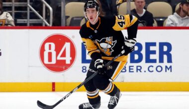 Brunicke, Zonnon, Blomqvist Assigned to AHL; Lizotte Practices