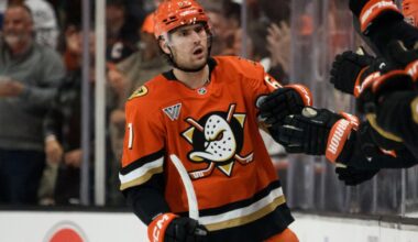 Anaheim Ducks hope to maintain momentum after skid-snapping playoff berth, summer roster upheaval