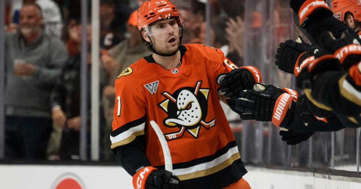 Anaheim Ducks hope to maintain momentum after skid-snapping playoff berth, summer roster upheaval