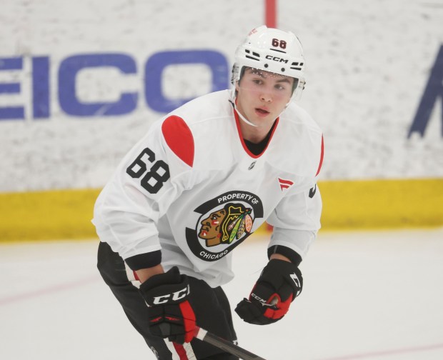 Chicago Blackhawks right wing Martin Misiak (68) practices Wednesday, Sept. 11, 2024, at Fifth Third Arena. (Brian Cassella/Chicago Tribune)