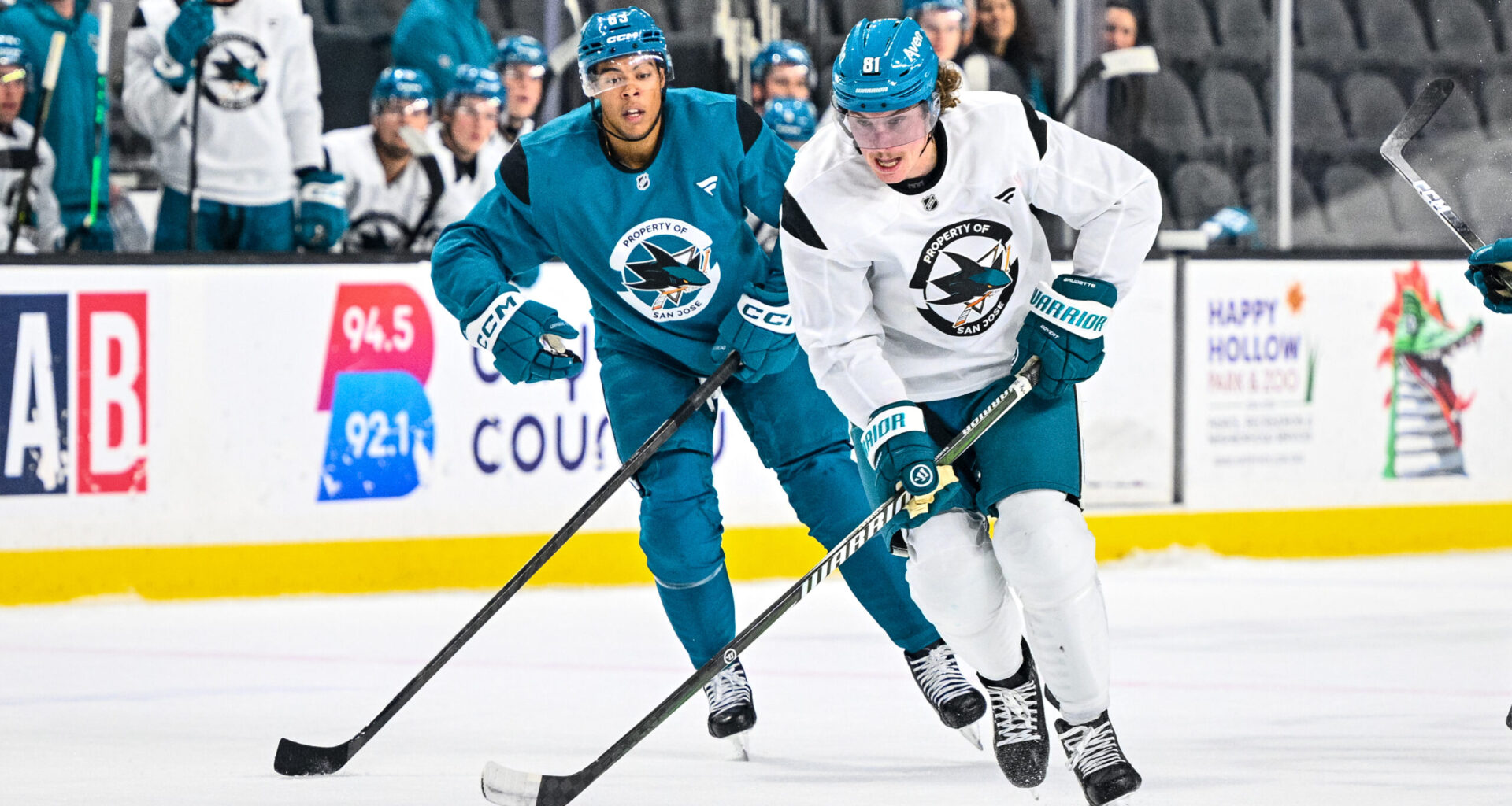 Sharks Winger In Danger Of Missing Start Of Season