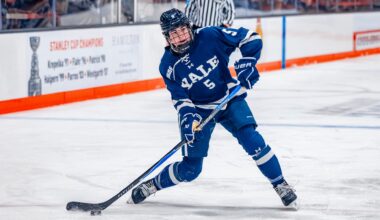 20 players to watch in D1 women's college hockey this season