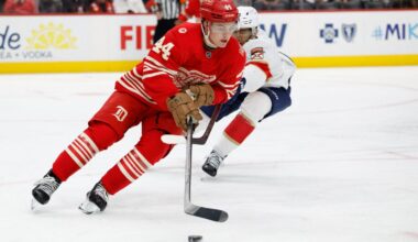 No Shortage of Players Available for Red Wings Farm Club