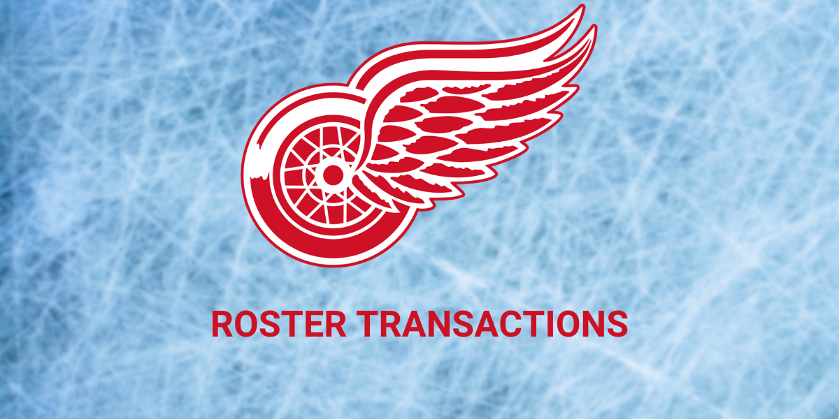 Detroit Red Wings Place A Forward & Defenseman on Waivers