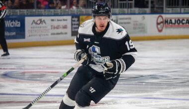 Wichita bring back Mitchell | Pro Hockey News