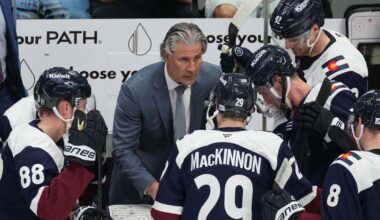 Challenge in NHL Central Division is cracking top 3 of Colorado, Dallas, and Minnesota