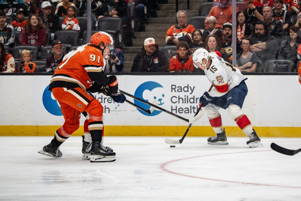 Ducks, Panthers