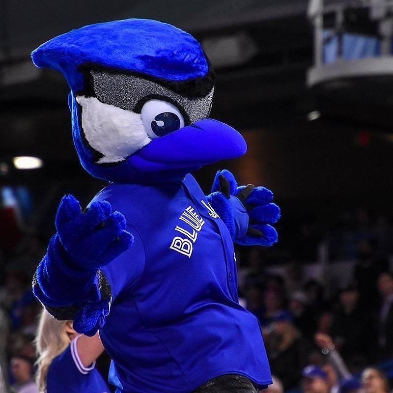 Join us in wishing a happy #NationalBirdDay to one of the BEST ...