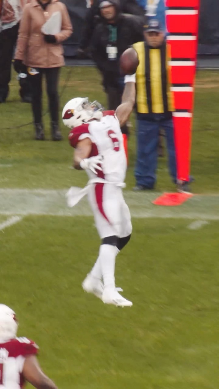 King James 

@jamesconner #nfl #football #azcardinals #freeagency #arizona #scto...