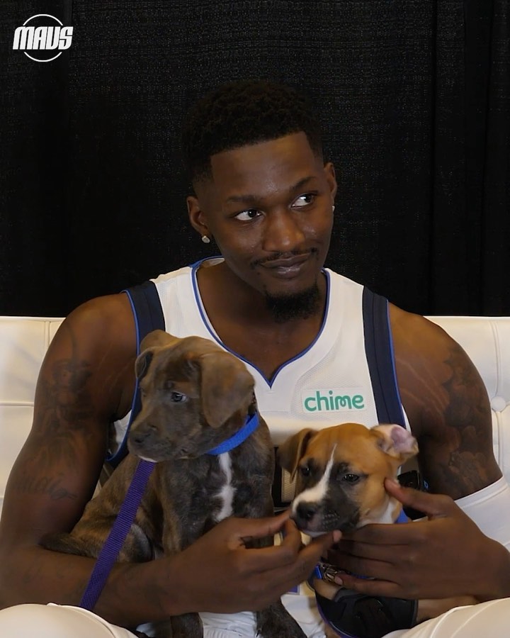 Blessing your feed with some wholesome content for #NationalPuppyDay  #MFFL...