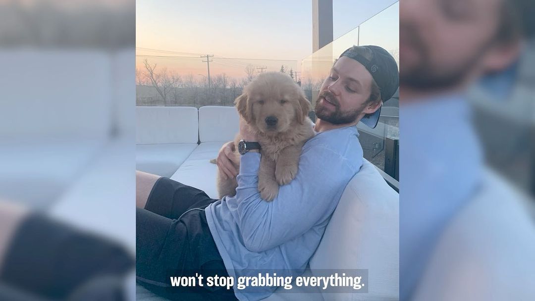 It's #NationalPuppyDay, and we'd like you to meet @joshmorrissey44's pup, Ace!  ...