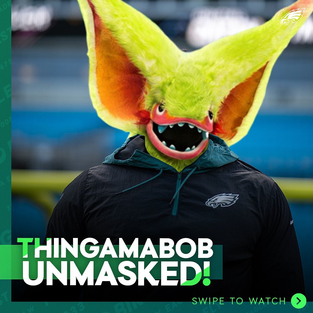 The Next Big Thingamabob

#FlyEaglesFly | @maskedsingerfox...