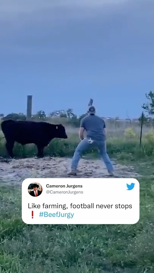 That cow wanted no part of Beef Jurgy. 

(via @beef_jurgy)...