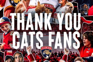 an unbelievable season, cats fans. thank you for every moment along the way....