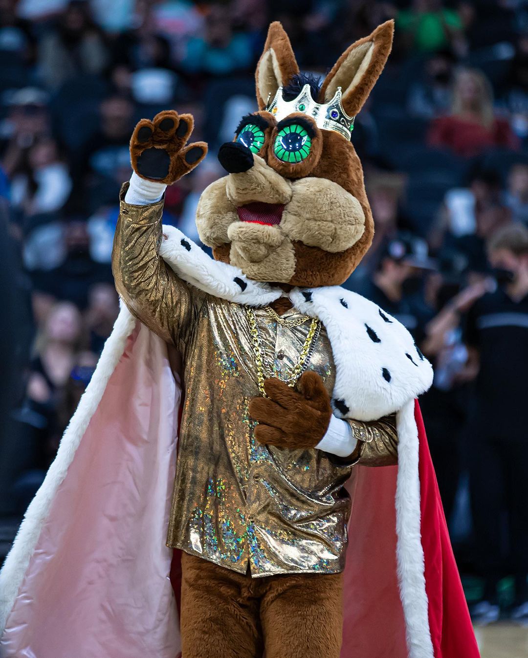 Wishing a happy #NationalMascotDay to the one and only @spurscoyote!  Love you f...