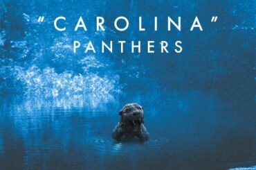 Where the Panthers Sing...