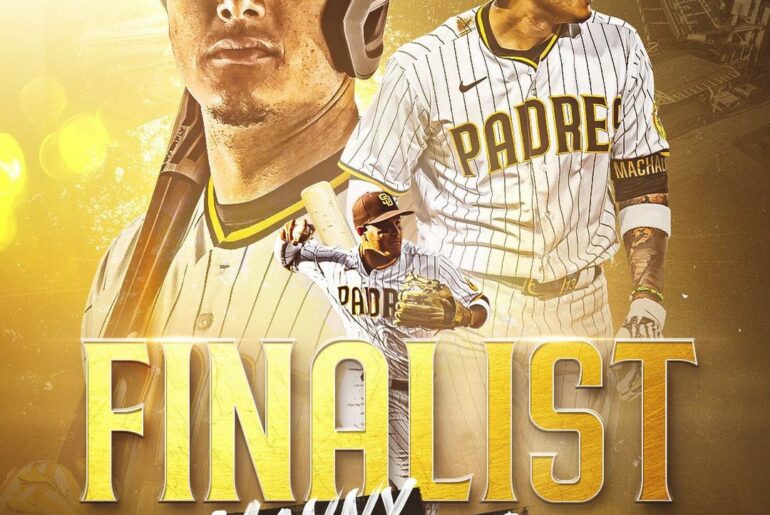 On to the finals!  Be sure to vote from July 5-8 to make Manny the National Leag...