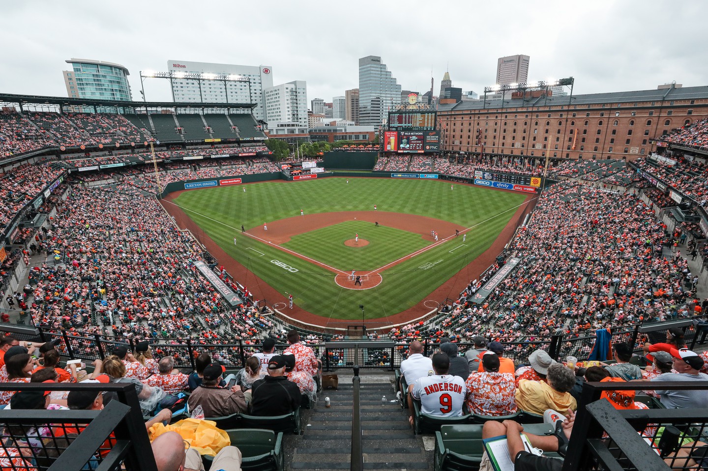 Birdland showed out last weekend...