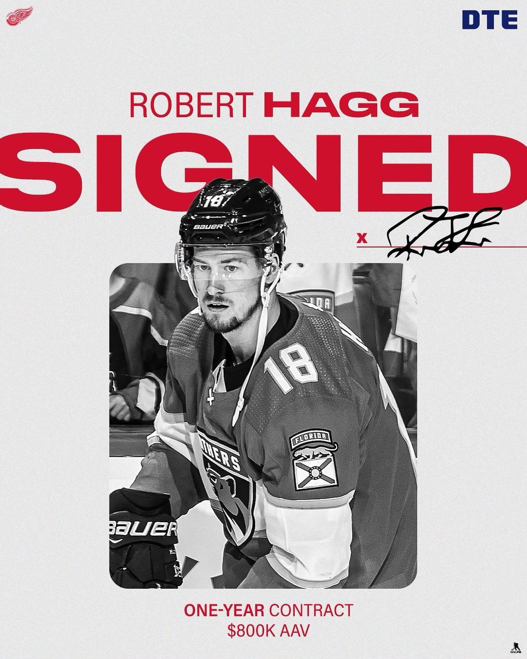 The Detroit #RedWings today signed defenseman Robert Hagg to a one-year contract...