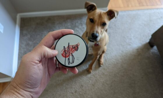 I paid for my "kid" to be a member of the Detroit redwings kids club last year. Unexpected surprise arrived yesterday, and now I feel kind of bad about it. The stick was his favorite toy as a puppy.