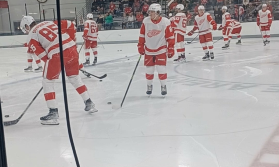 Living a Dream - I work in broadcasting here in TC and I got tagged to be on of the off-ice announcers during the NHL Prospect Tournament and DRW Training Camp. It was a surreal experience to have those guys flying around me and to hit that goal horn for the Wings!