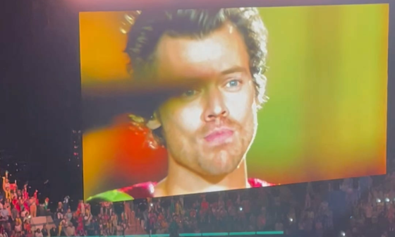 When Harry Styles raises a banner in MSG before the Knicks in your lifetime…