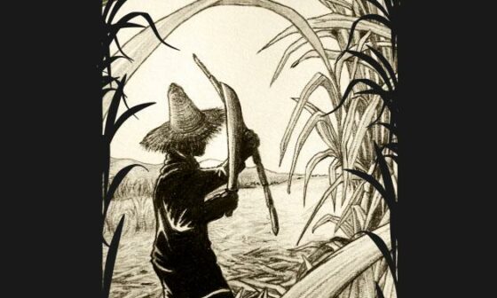 Worker Cutting Sugar Cane Pencil Hand Drawing Vintage Style