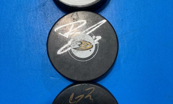 Whose signatures are these? I just got these pucks for free without any info.