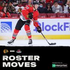 [Blackhawks] We have assigned Alex Vlasic to the IceHogs