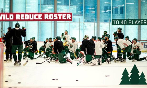 Minnesota Wild Reduces Training Camp Roster To 40