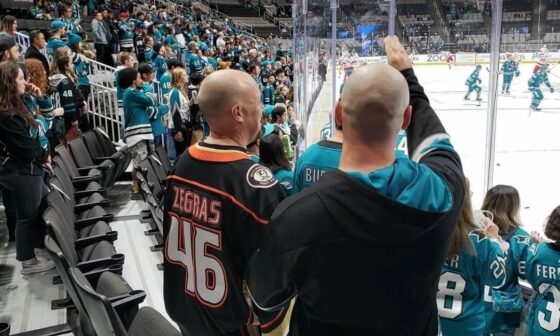 Alone in a sea of teal