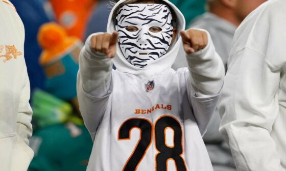 Cincinnati Bengals rising in NFL Power Rankings Week 5