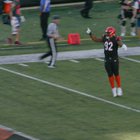 [Bengals] Video of BJ Hill trying to jump into the stands lol