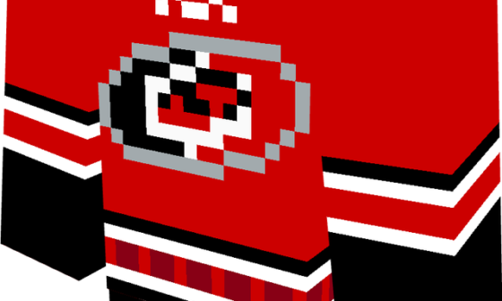 Retired Adidas Canes Jerseys I made in Minecraft