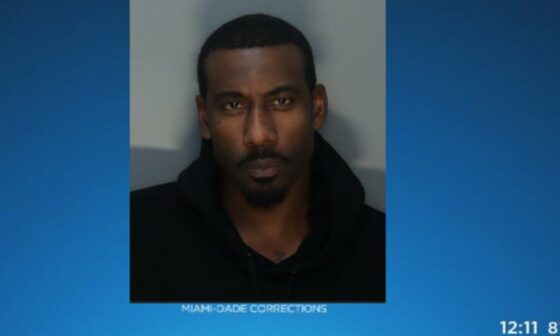 Amare Stoudemire beat his kid, arrested
