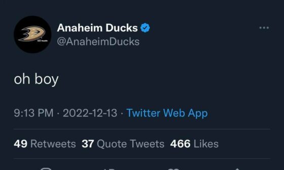 Ducks Twitter last night…