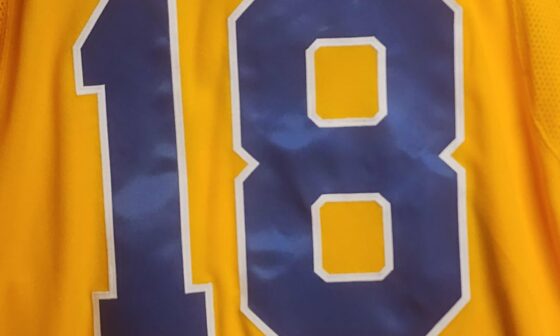 Question for my fellow RR 2.0 folks. anyone else have a nameplate that's slightly darker than the jersey?