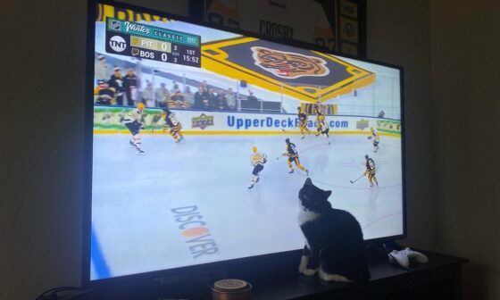 Front row seat for the Winter Classic