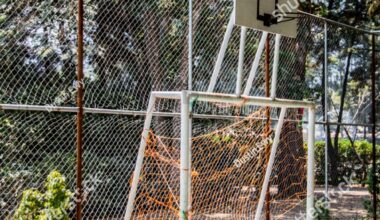 I dreamt of a crazy sport-hybrid of basketball and soccer