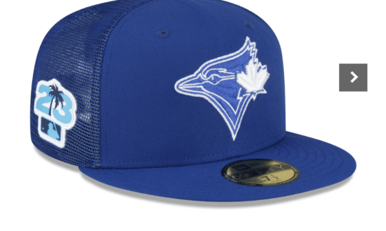WOW ! $73 for the new spring training hat .