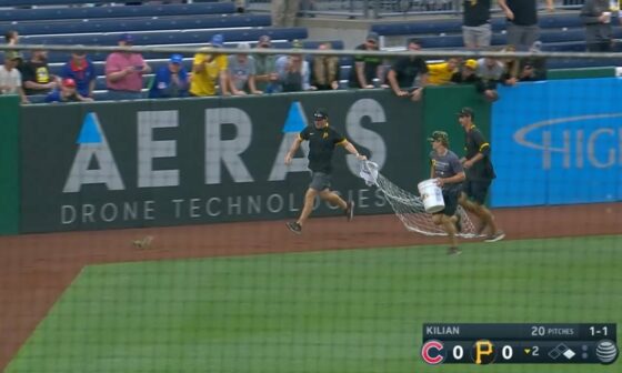 SQUIRREL on the loose DISRUPTS Cubs-Pirates game!