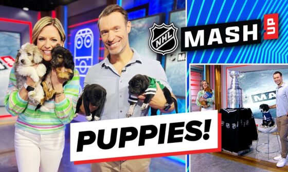Stanley Cup, Puppies, and Hughes Bros! | NHL Mash-Up | Ep. 5