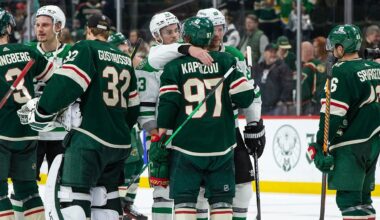 Dallas Stars tame Wild to advance to Round 2!