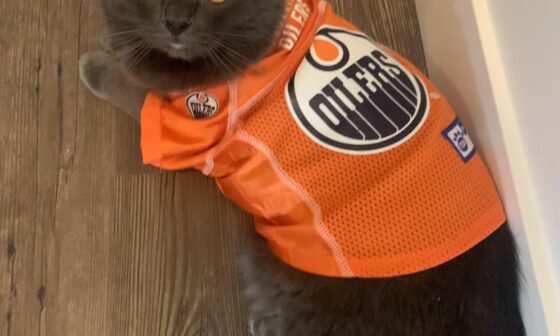 I bought my Cat an Oilers jersey on March 27th, we are now 12-0 in games that he has it on.