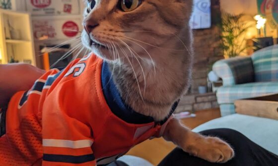 My cat is also a huge Oilers fan