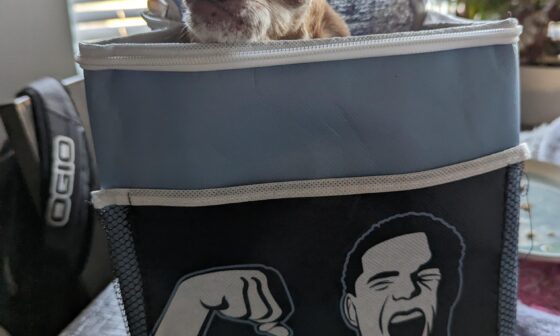 Props to the Grizz and DB for giving out these sweet Chihuahua totes.