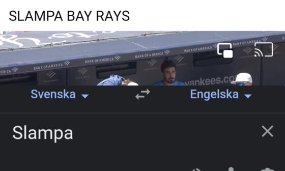 As a Swede I love the Slutty Bay Rays