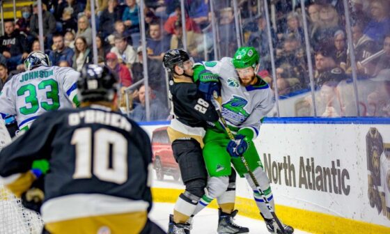 The Florida Everblades are going to the Kelly Cup Finals